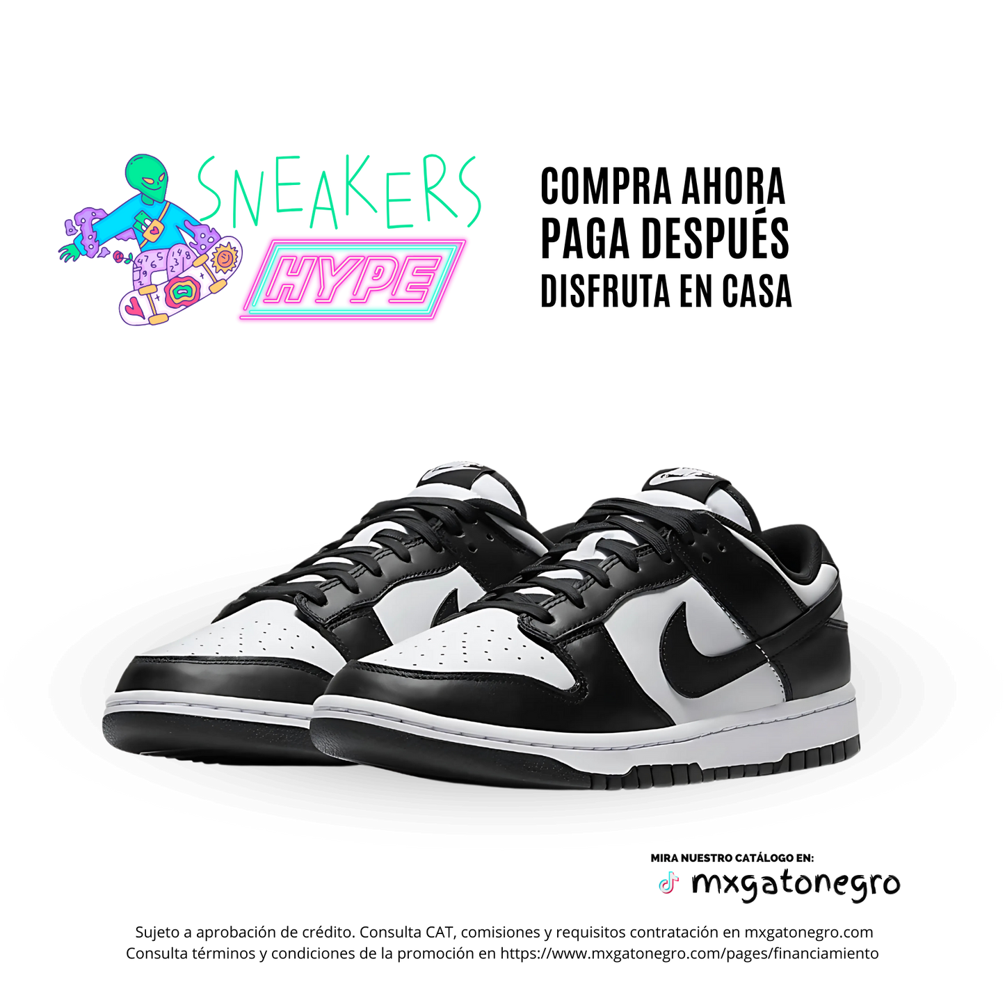 Nike Dunk Low - Black (Premium Choice)