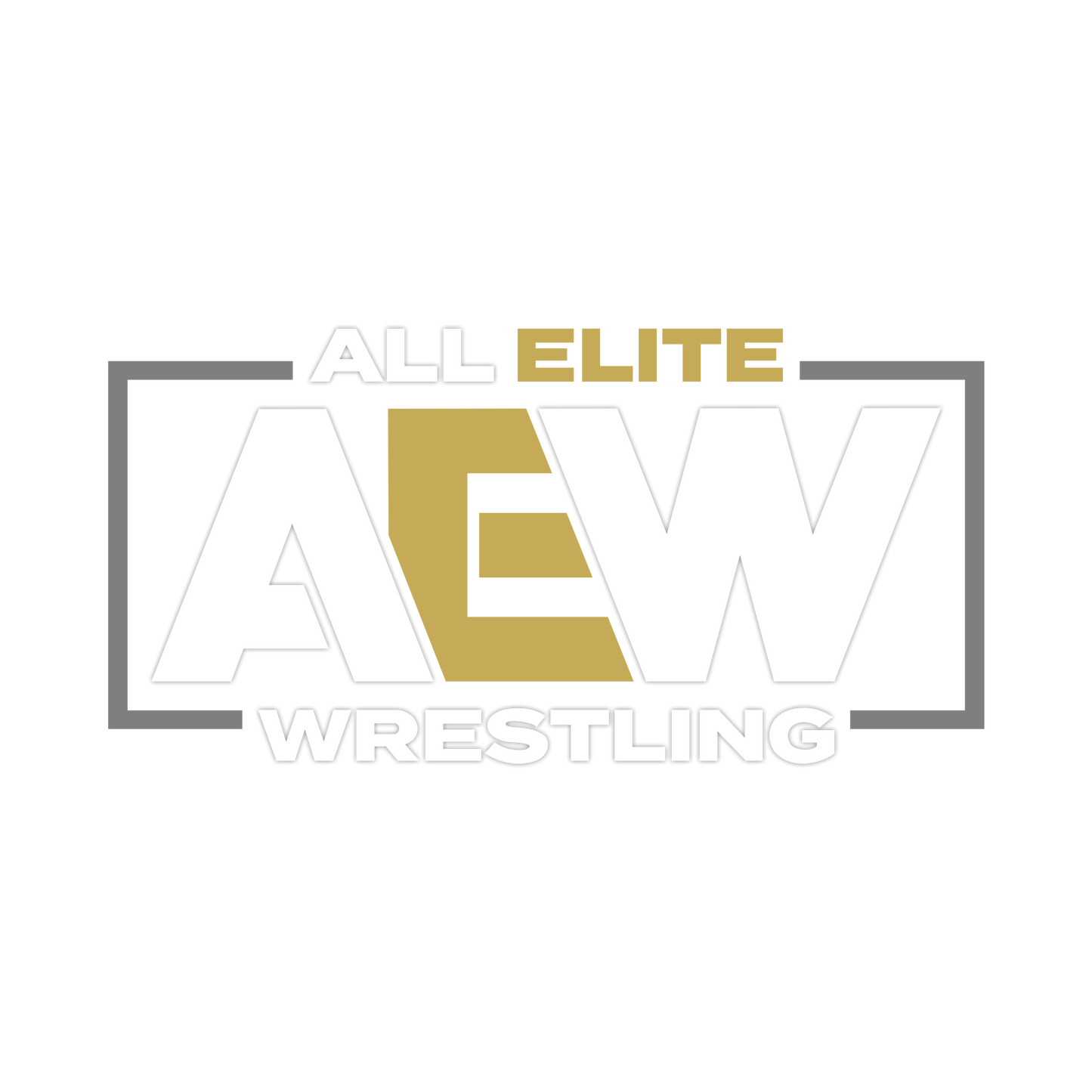 AEW Women’s World Championship Replica 1:1 Title Belt