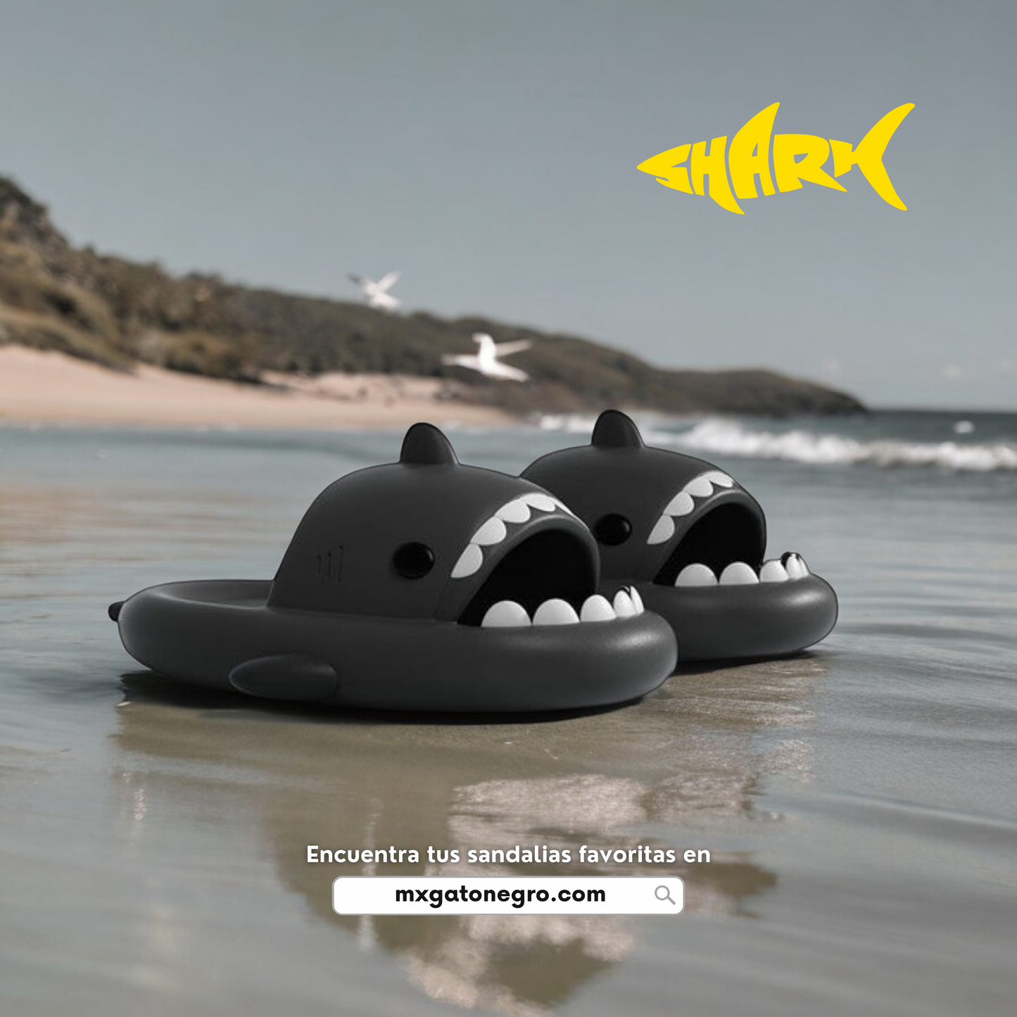 Sandalias SHARK Basic - Clásicas