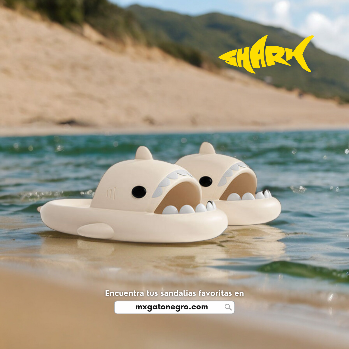 Sandalias SHARK Basic - Clásicas